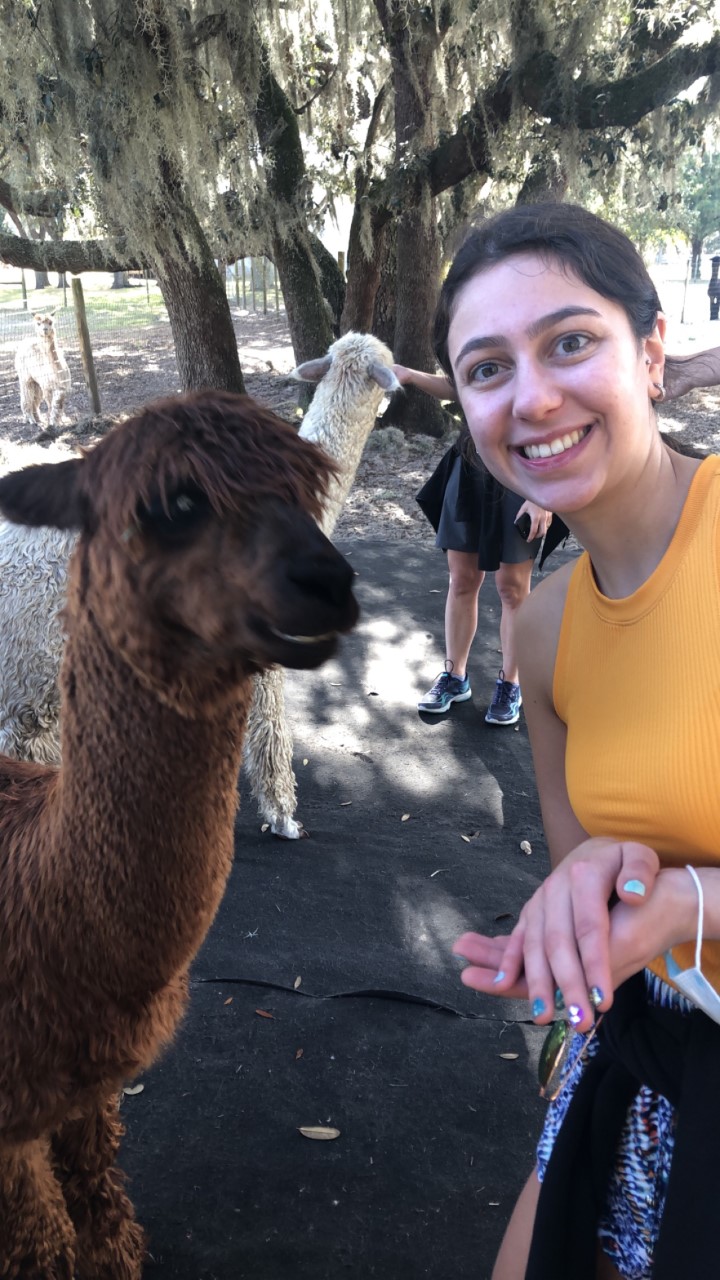 Photo of my sister with an alpaca