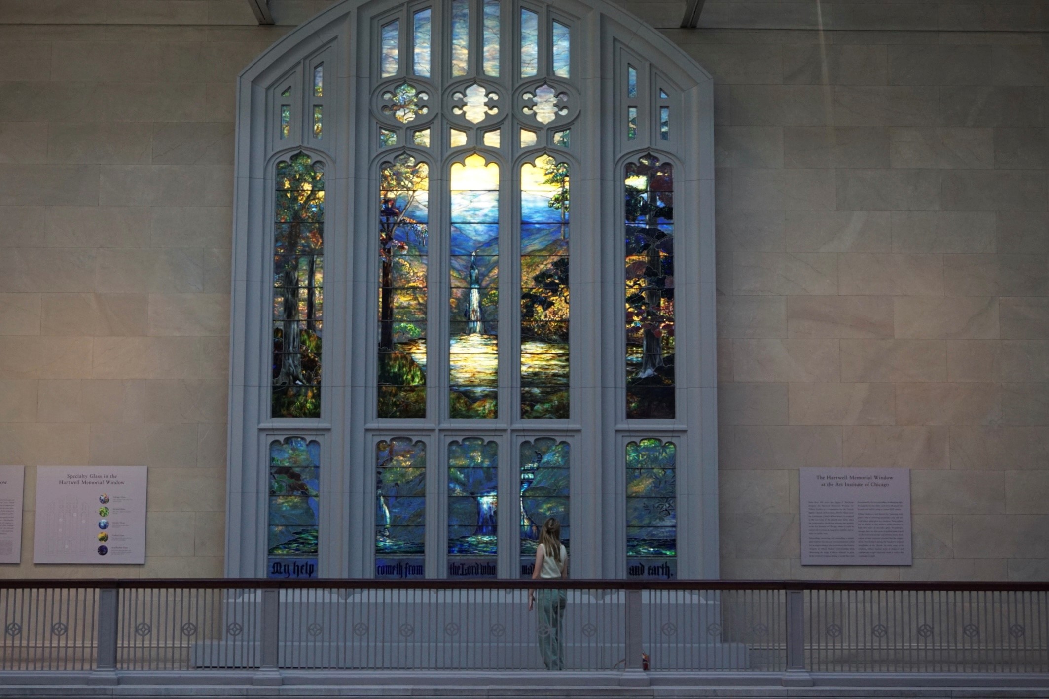 elaian looking up at a wall of stained glass