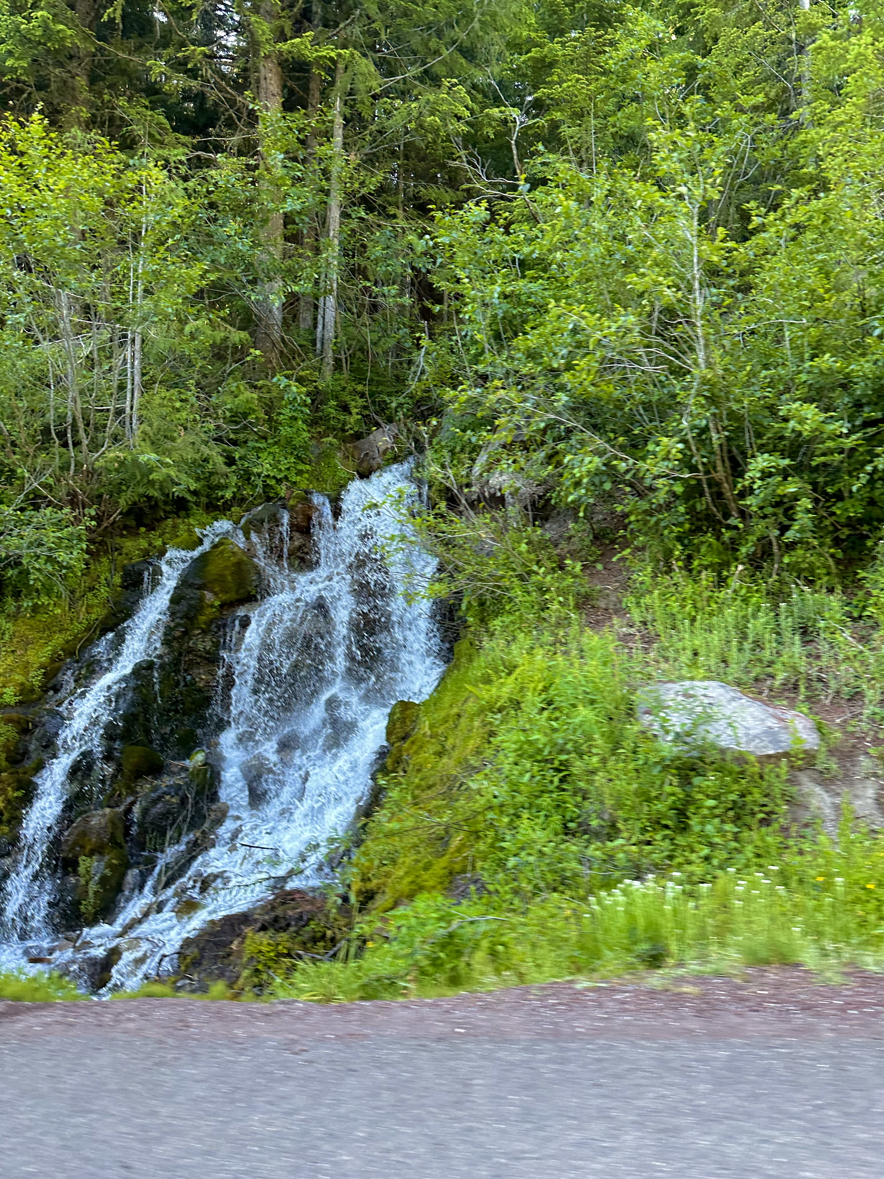 This is a photo of a waterfall in Oregon