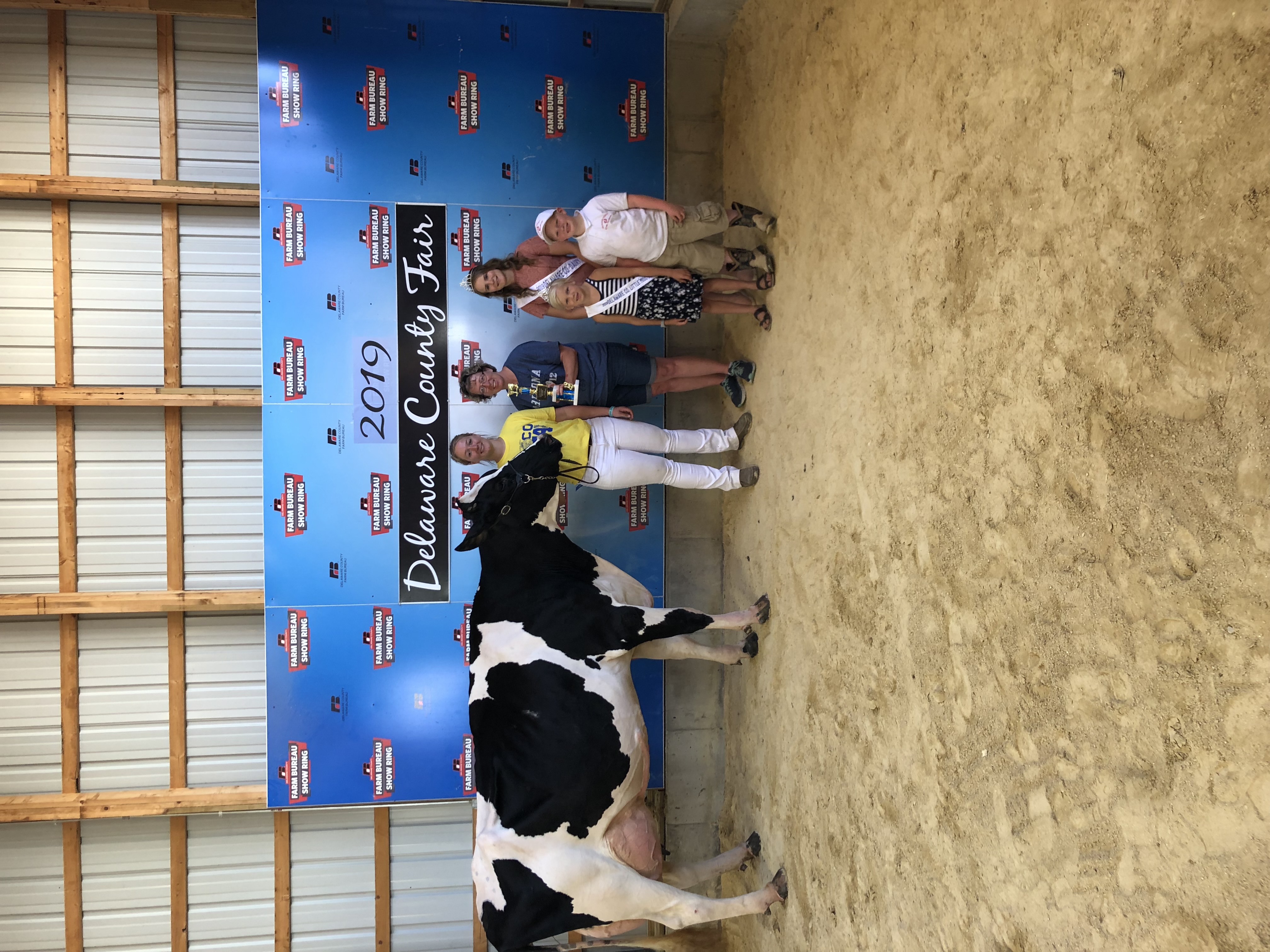 photo of Haley showing cattle at the fair