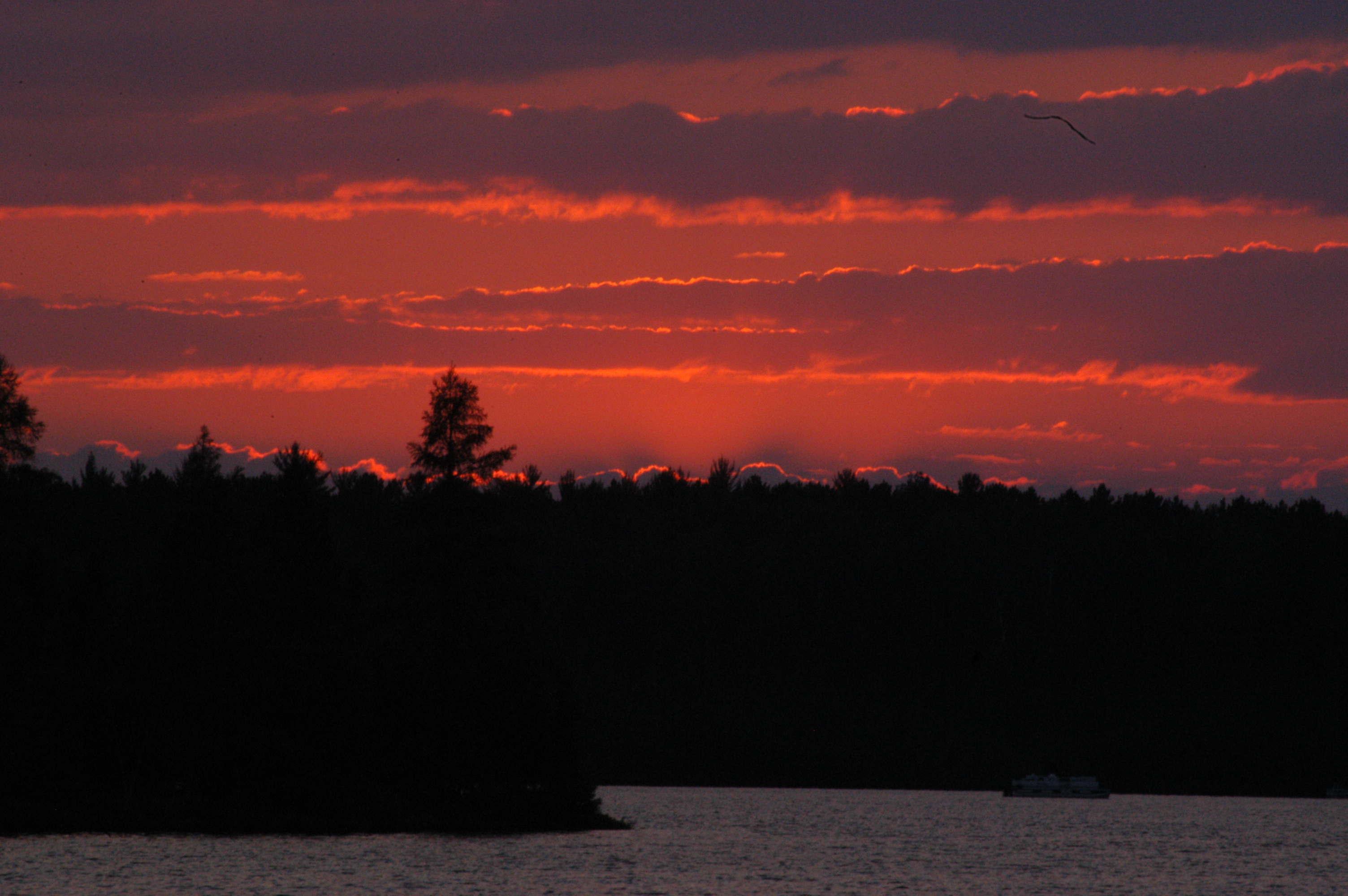 a photo of the lake 2006