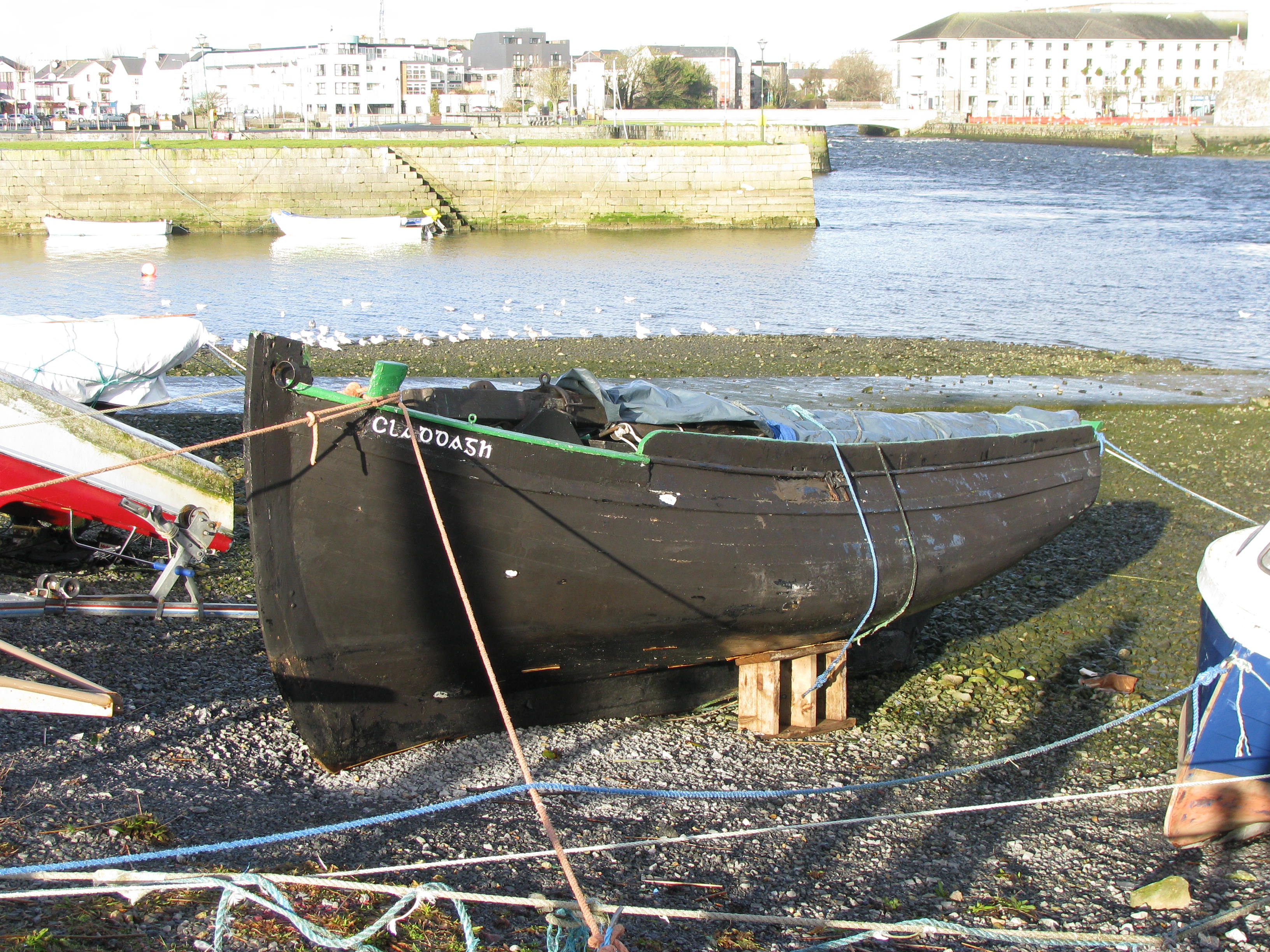 currach boat