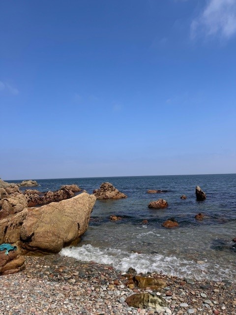 Howth beach